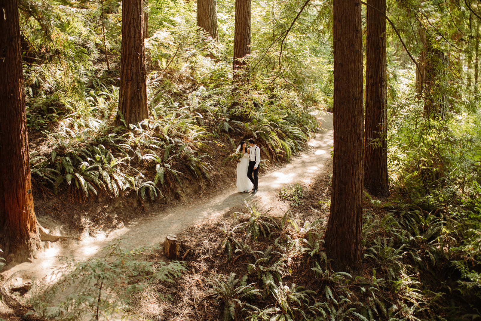 a bride and groom walk through the forest at hoyt arboretum