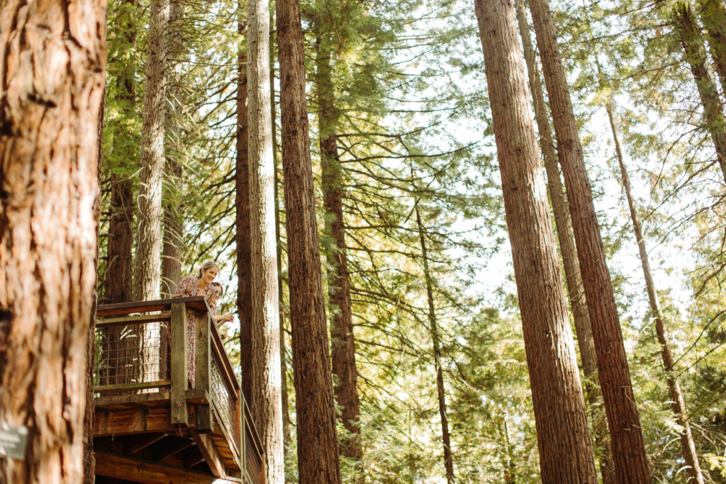 Hoyt Arboretum Redwood Deck Wedding | Jess Woodhouse